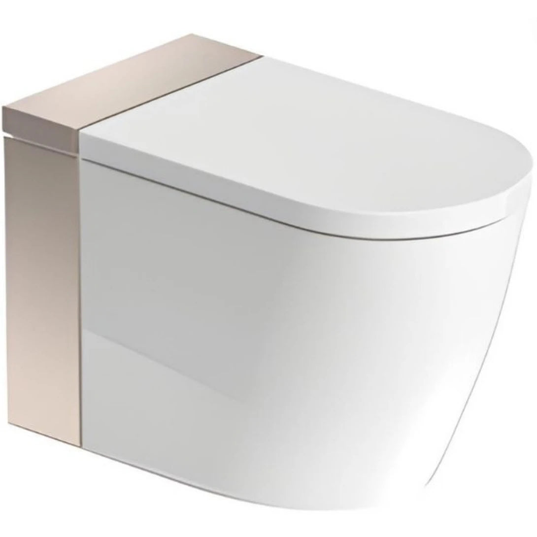 Bồn Cầu Điện Tử Thông Minh Duravit 620000022500320 Dòng Sensowahs I Plus Màu Vàng Hồng